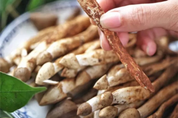荔枝菌岭南菌王当季无数食客为之疯狂