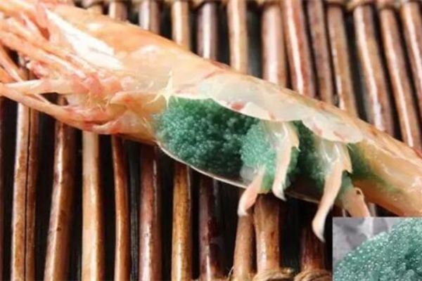 车虾抱籽