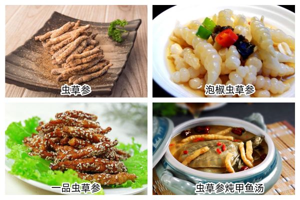 虫草参
