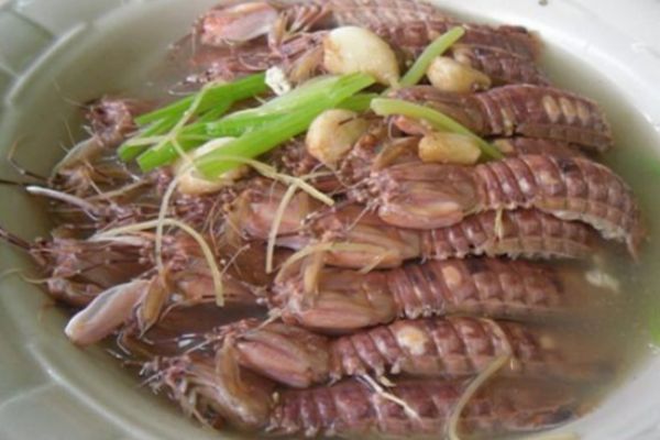 盐水虾蛄