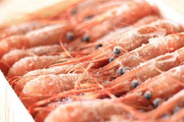 牡丹虾全球海虾中的极品
