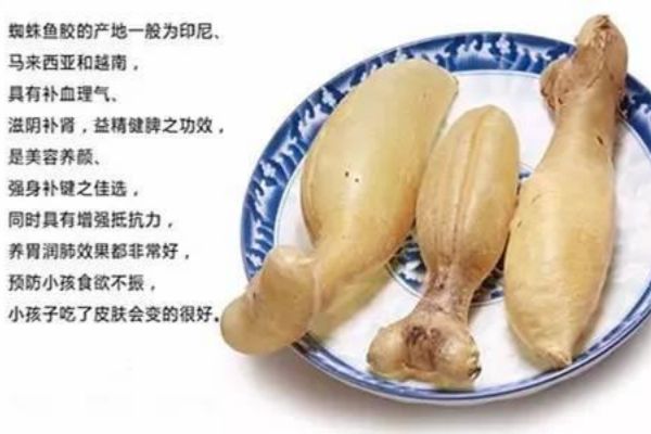 蜘蛛胶