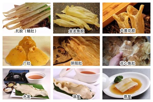 鱼胶