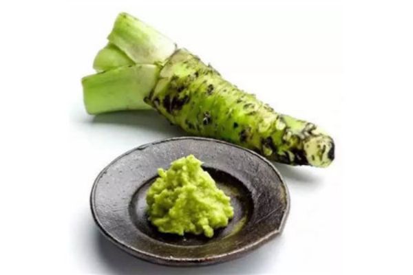 山葵一斤卖八百世界最贵蔬菜之一