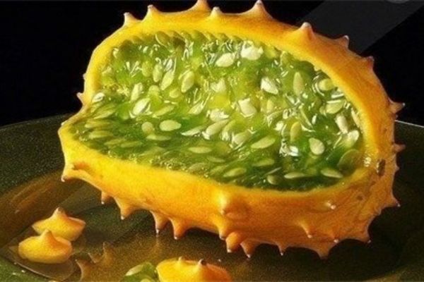 刺角瓜