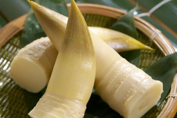 春天舌尖上的春季食材正袭来