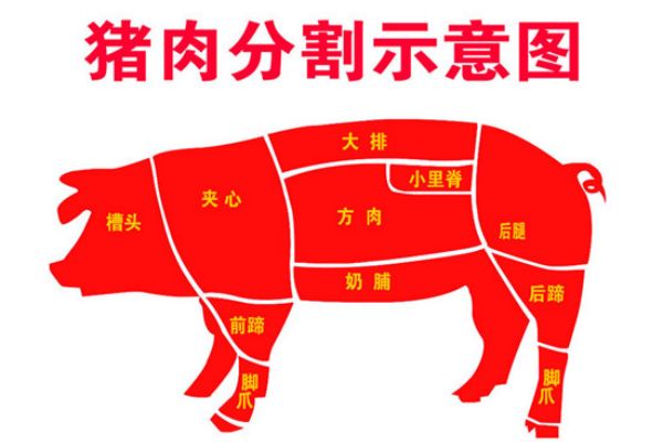 猪肉分割图