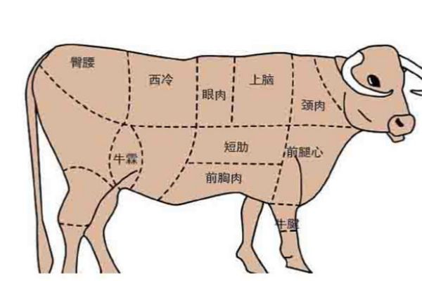 牛肉