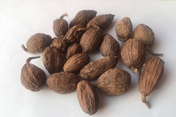 草果和草豆蔻的区别是什么